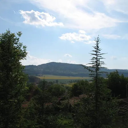 게스트하우스 Guest House Slivek 3*