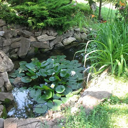 Guest House Slivek 게스트하우스 3*