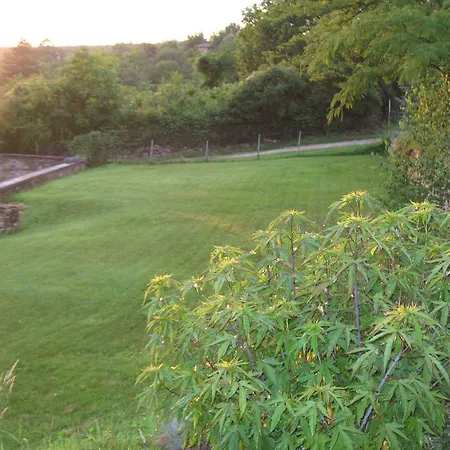 Guest House Slivek 게스트하우스