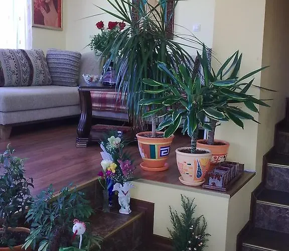 Guest House Slivek Slivek